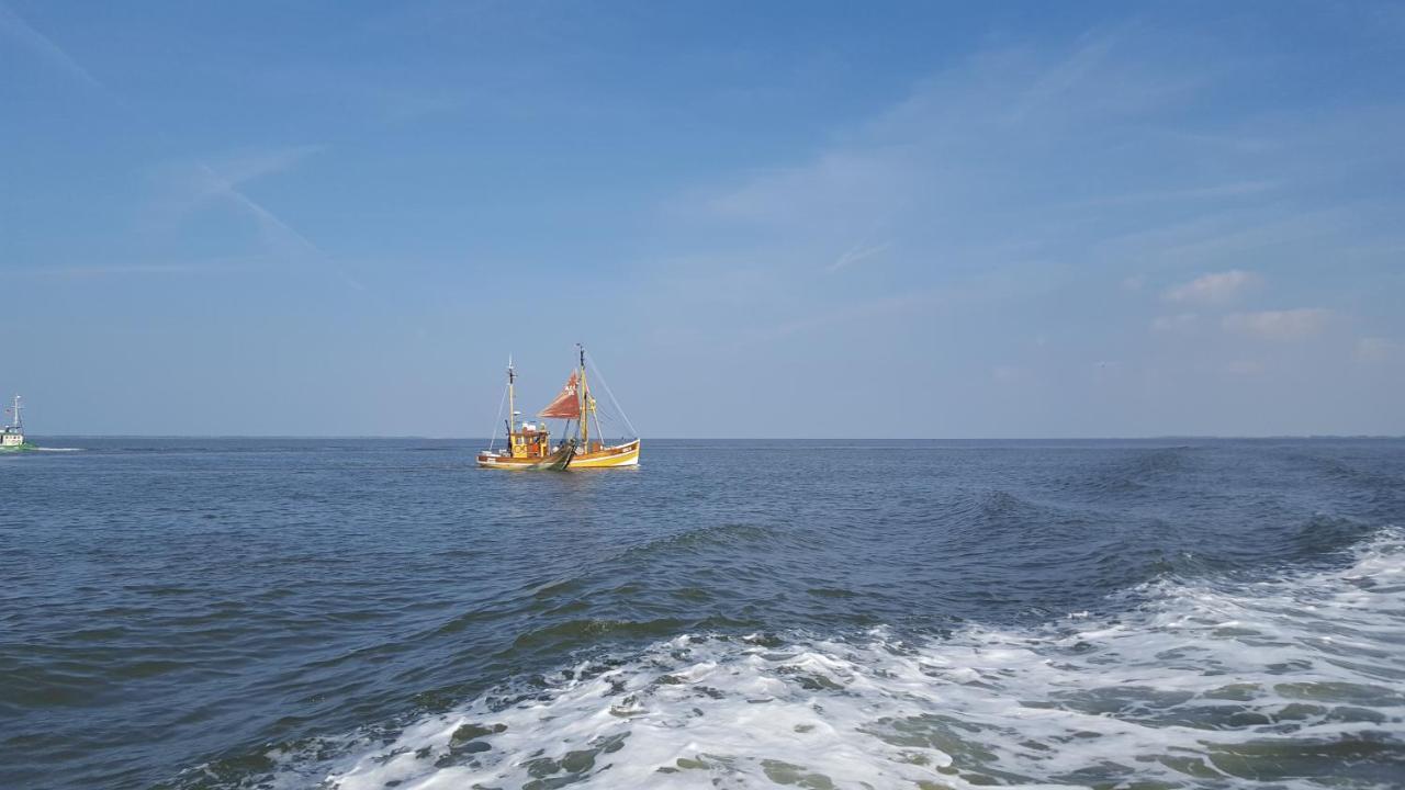 Nr 201 - Ferienhaus Am Tief Neuharlingersiel Buitenkant foto